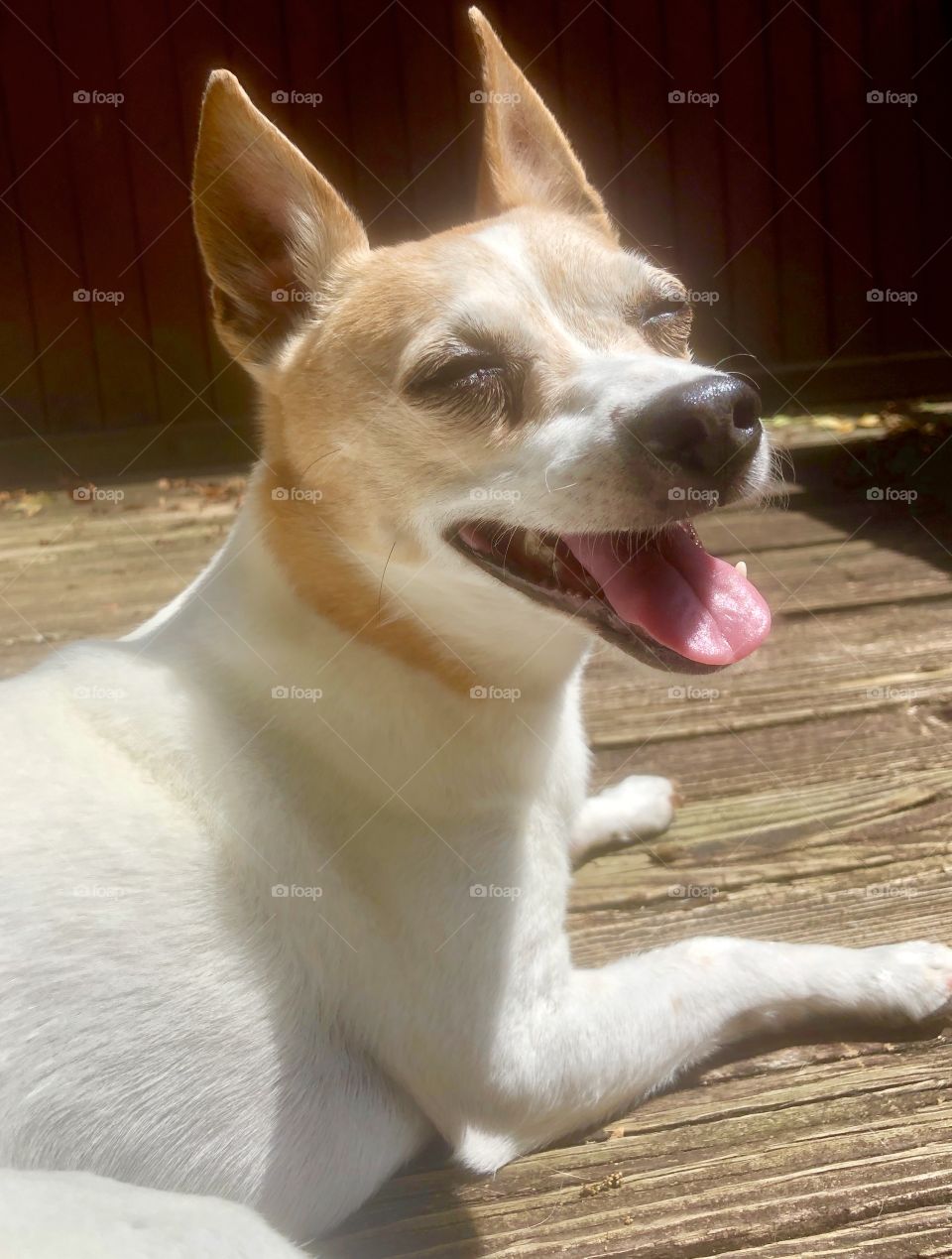 Senior smiling in the sun