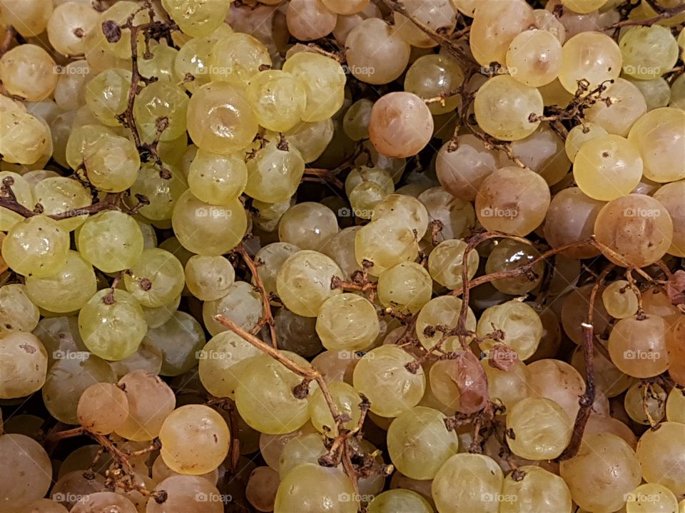 Grapes