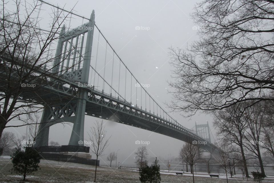 Bridge, No Person, Winter, Tree, Road