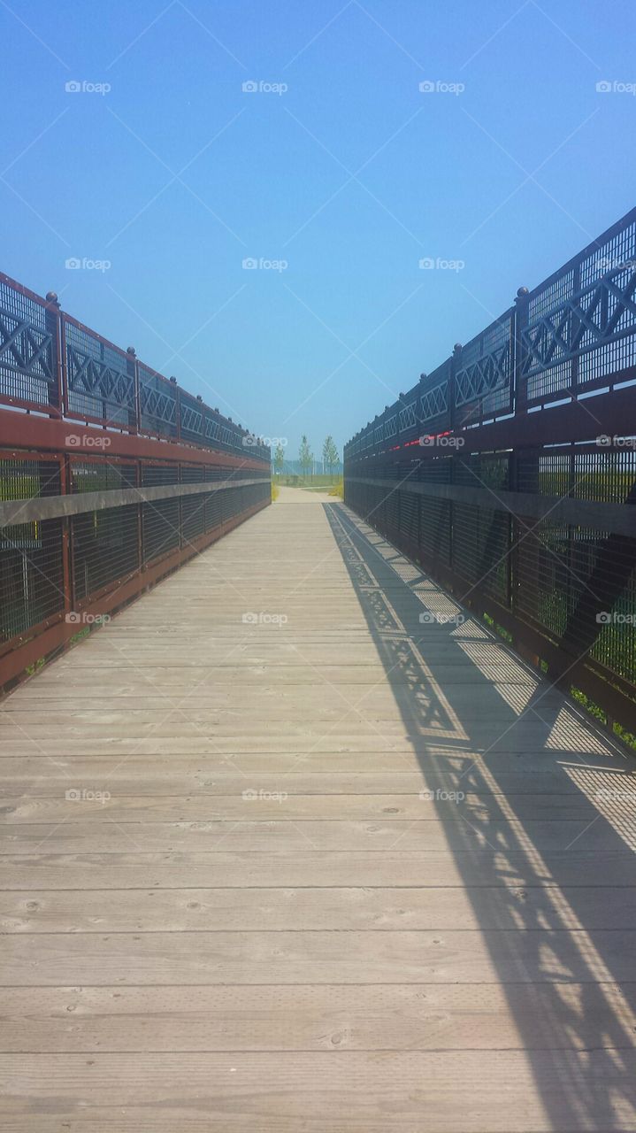 Nature. Foot Bridge