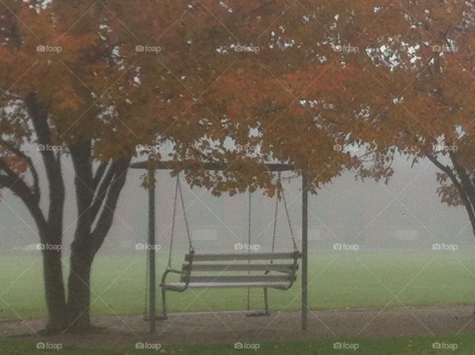 trees fall swing mist by mengzishiliu