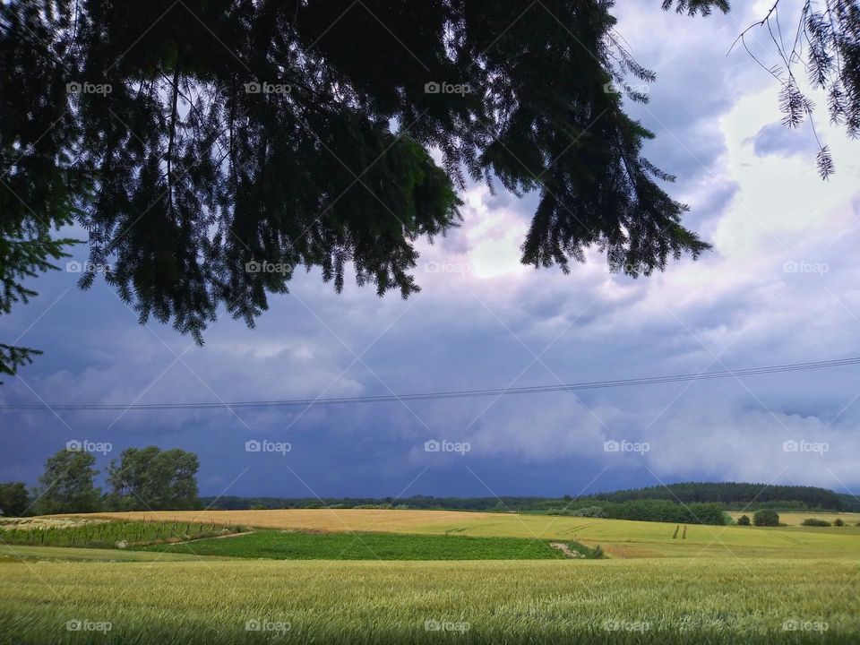 An approaching storm in the field