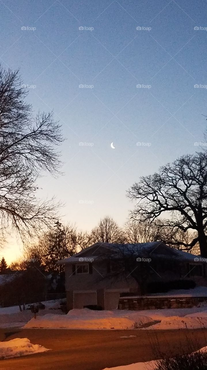 Crescent moon morning