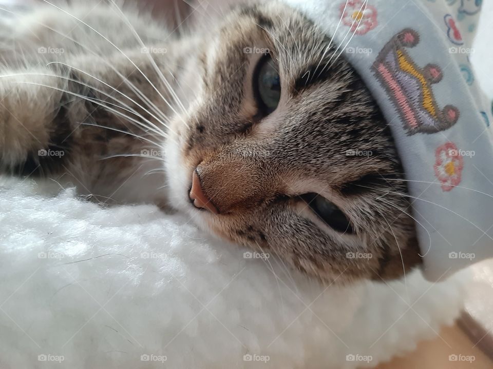 Расскажите  мне   сказку!