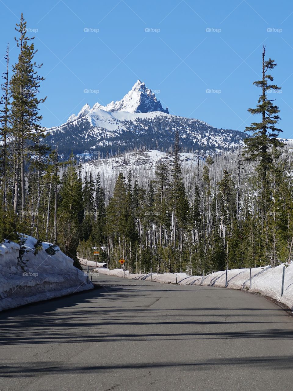 The magnificent snow covered Three Fingered Jack in Oregon’s Cascade Mountain Range against a clear blue sky on a beautiful spring day. 