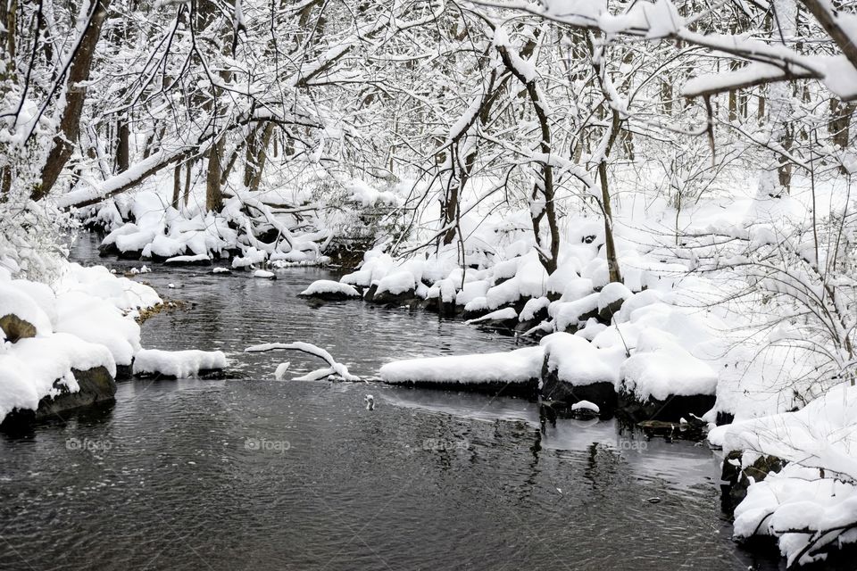 Wintry Landscape