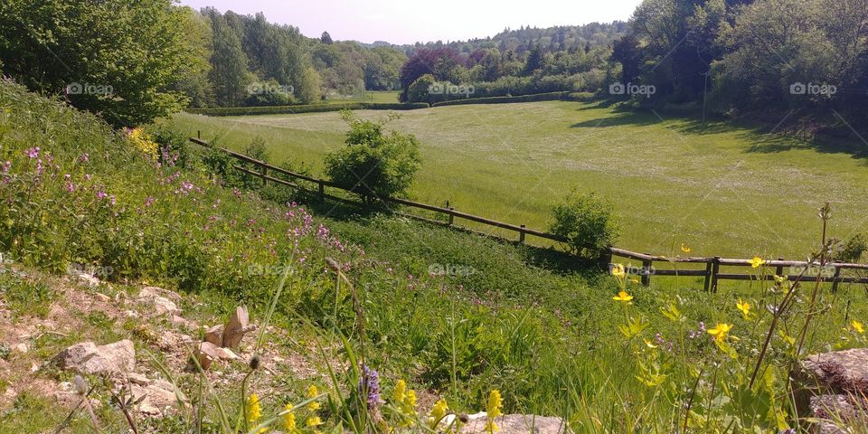meadow on hillside on summers day, scenic rural landscape