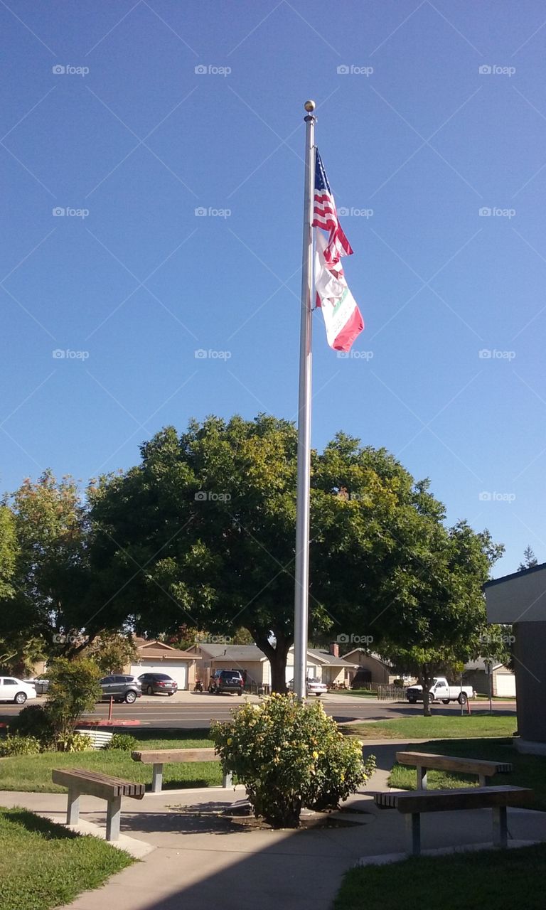 flagpole