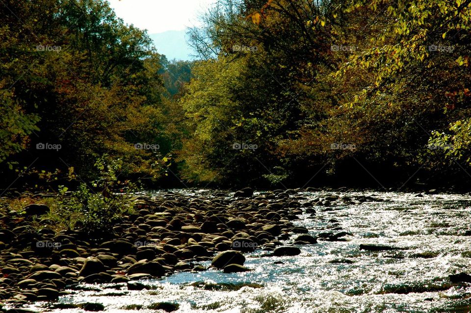 Tennessee River