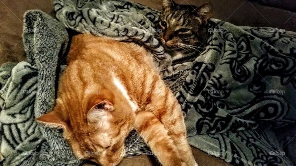 brother warmth on cold winter night