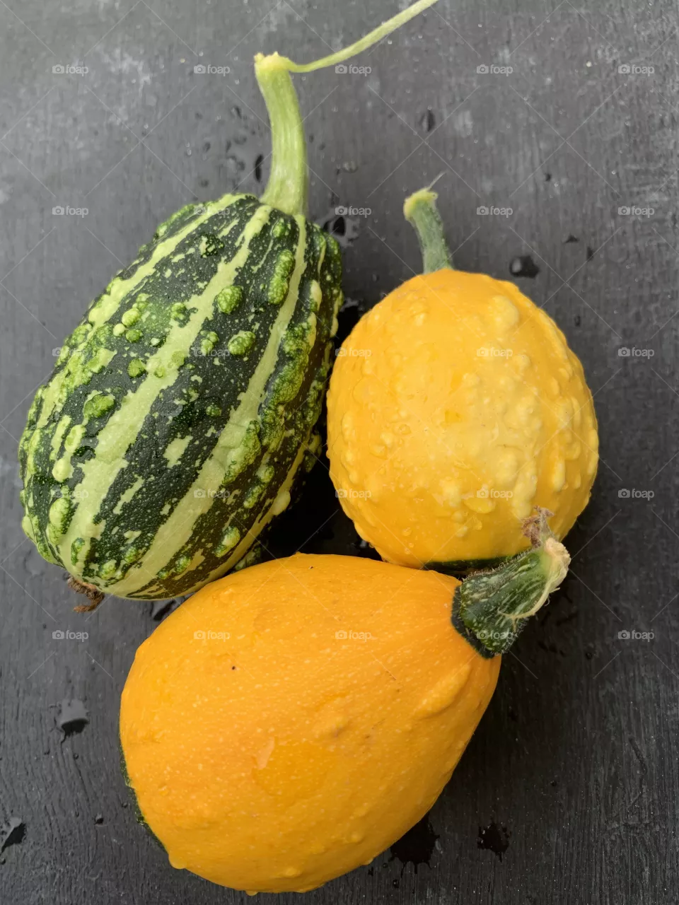 Harvested pumpkins