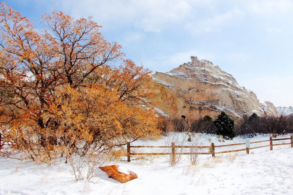 Scenic view of nature