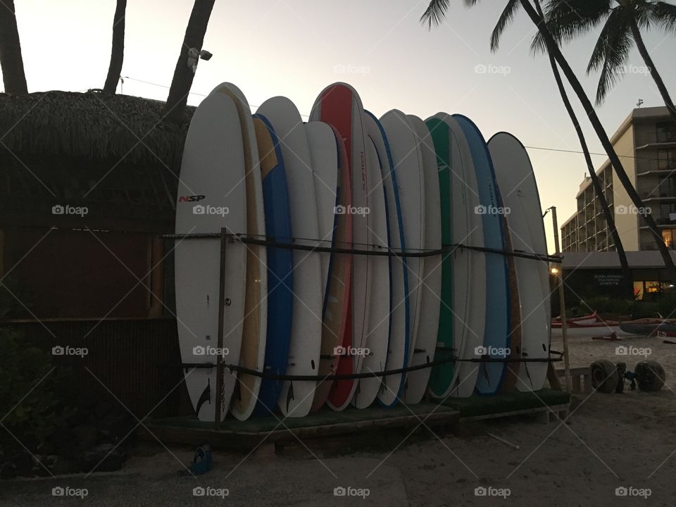 surboards