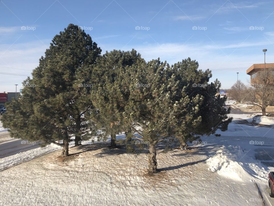 Beautiful and cold day