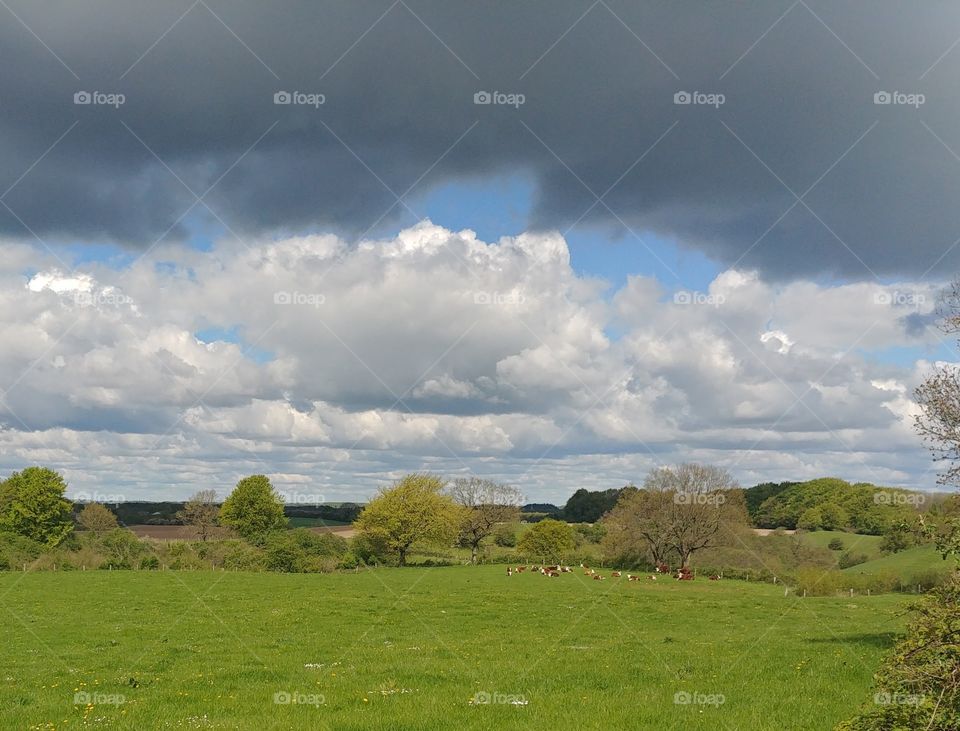 Regenwolke weide Wiese Landschaft