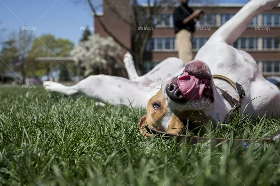 #DERP