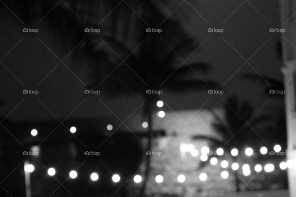 Out of focus in Key West.