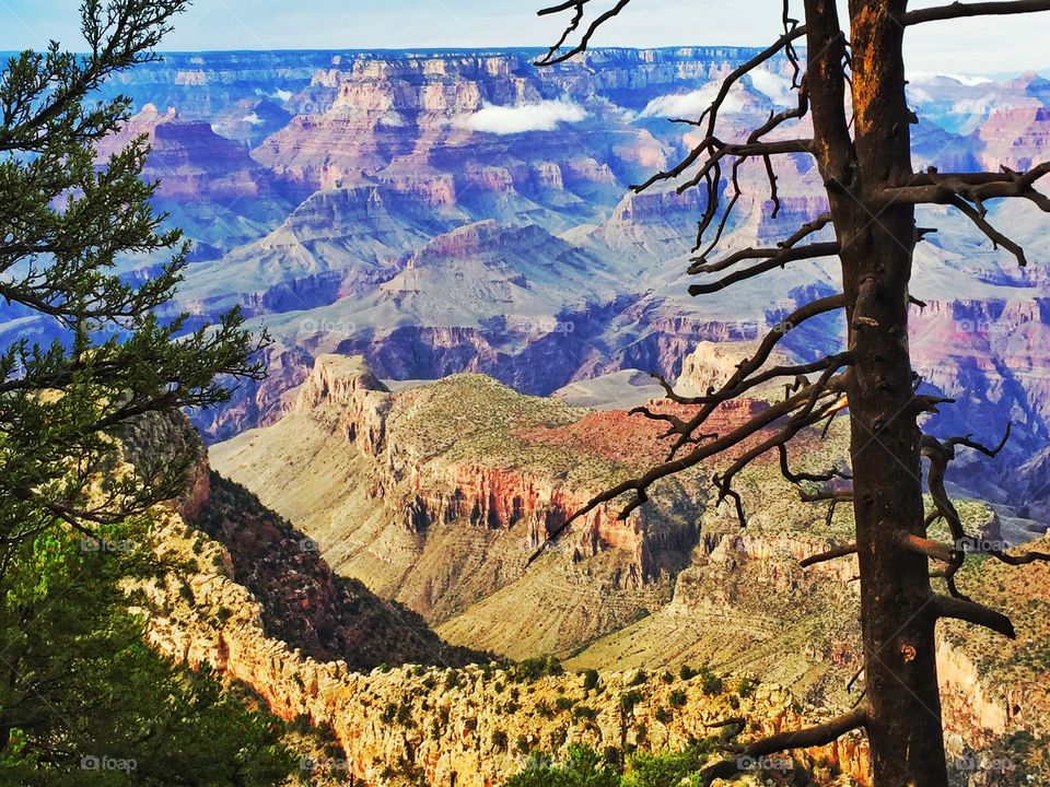 Sunny Grand canyon landscape 