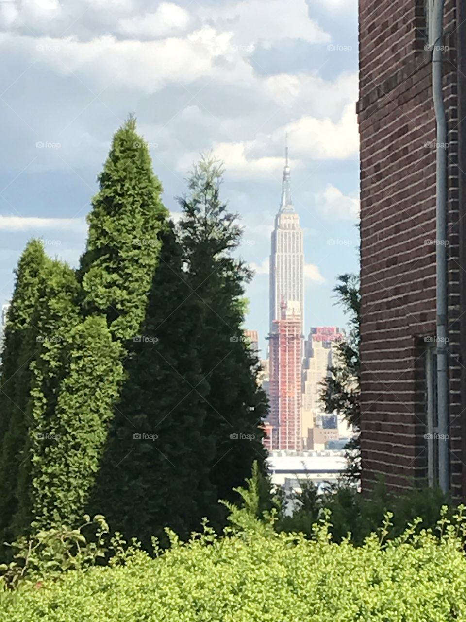 Backyard NYC View 