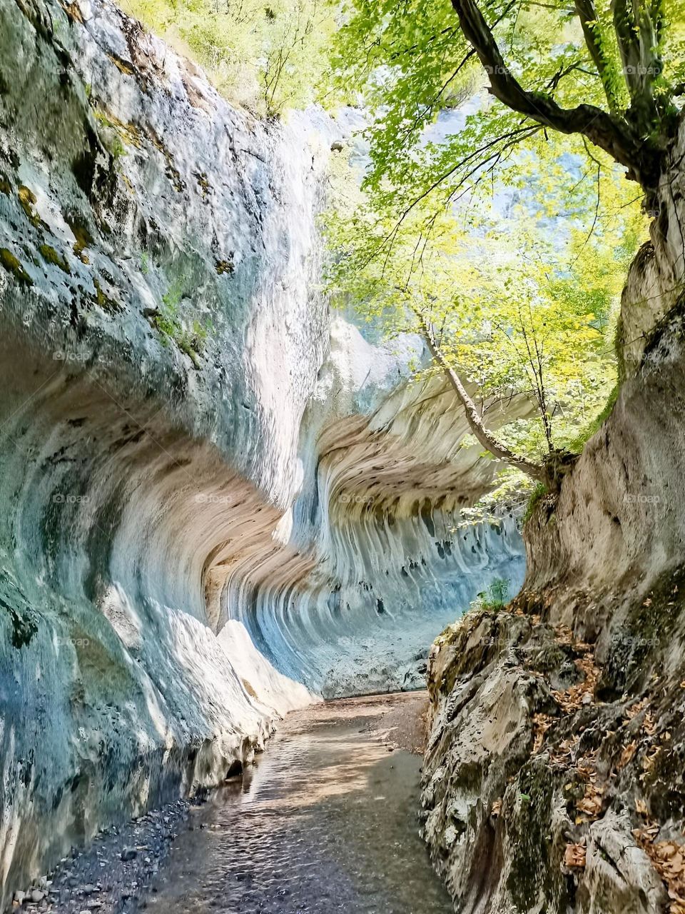 Cheile Baniței, România