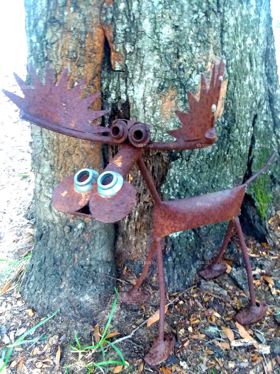 That's cute hiding by the tree🤣🤣🤣