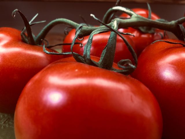 Tomatoes