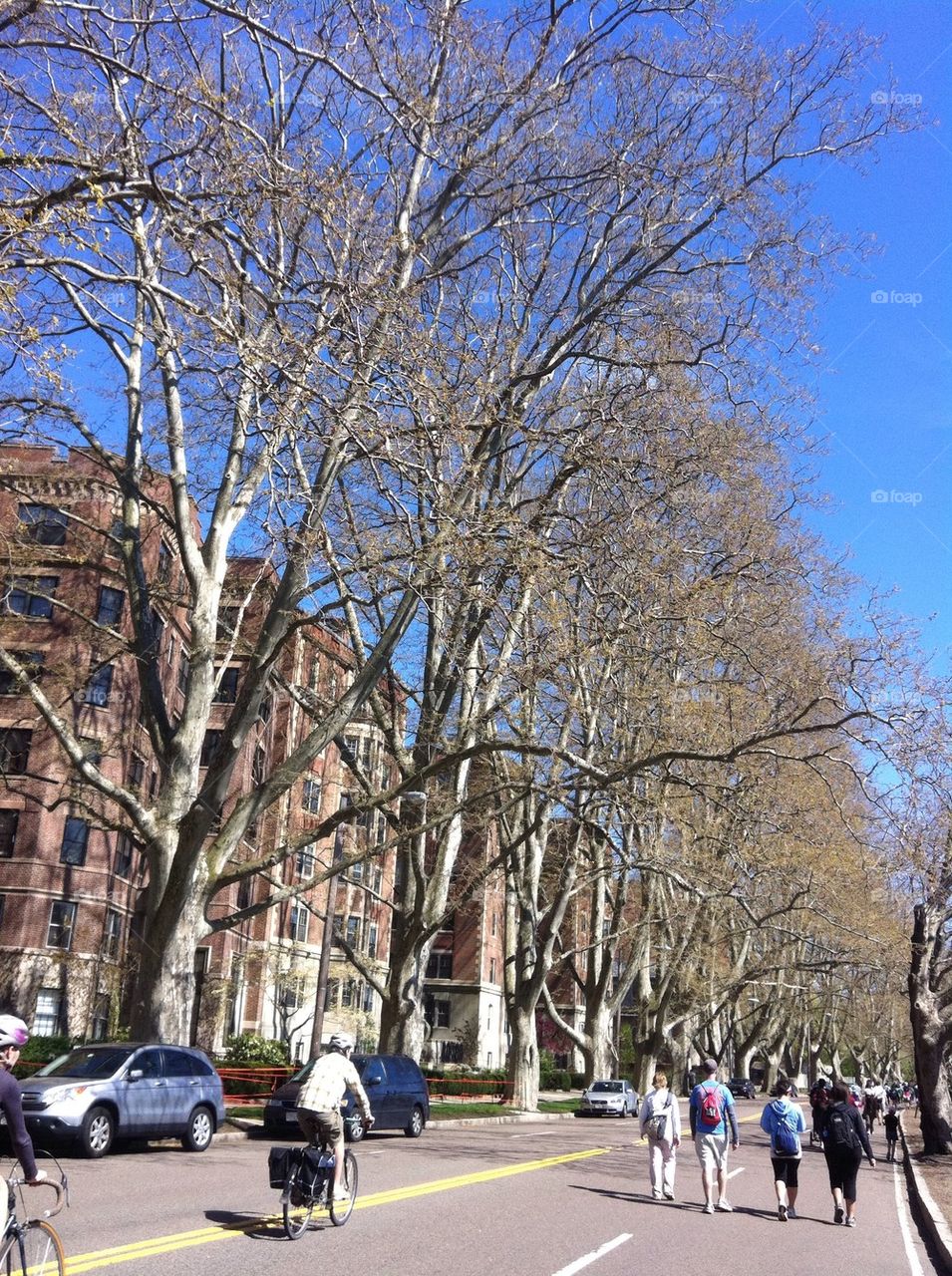Charles River, Boston