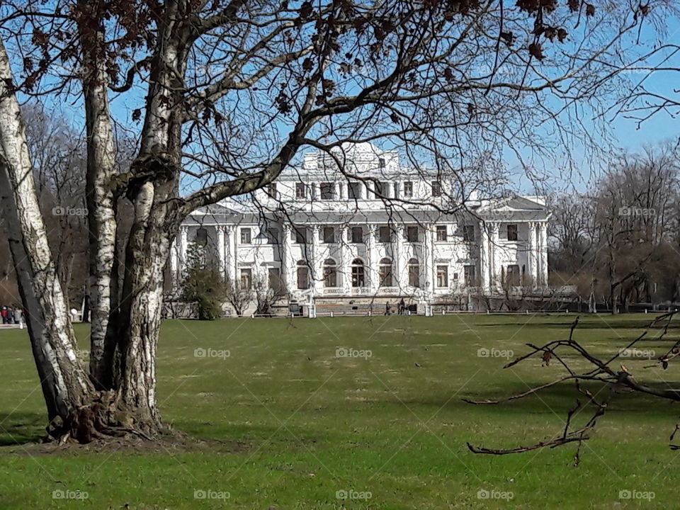 park spring time sun sunny colors colorful nature wild plants flowers amazing stunning cool nice weather hot lovely sky forest grass view splendid