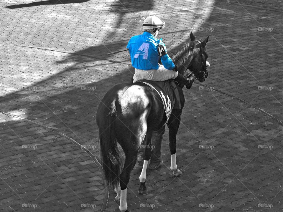 Mylita. The Aqueduct house silks in the paddock with Mylita. 
Fleetphoto