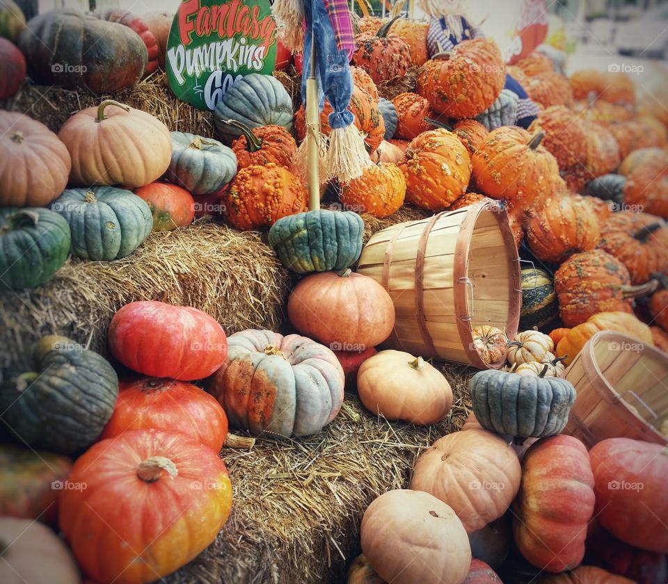 Fantasy and regular pumpkins for sale with hay and basket display at the market  for thanksgiving Halloween fall fun carving