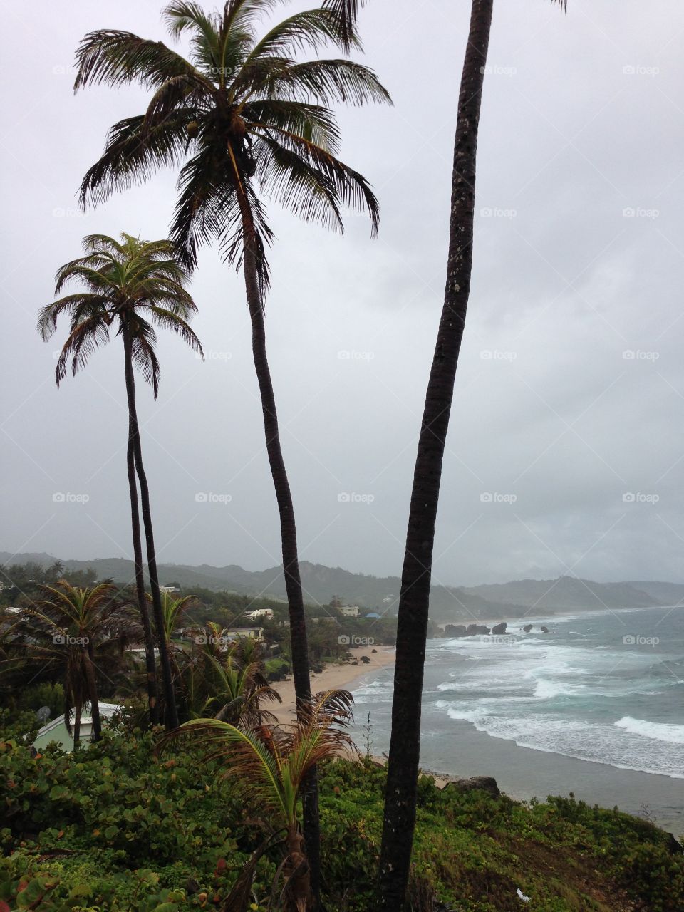 Rainy day in Barbados 