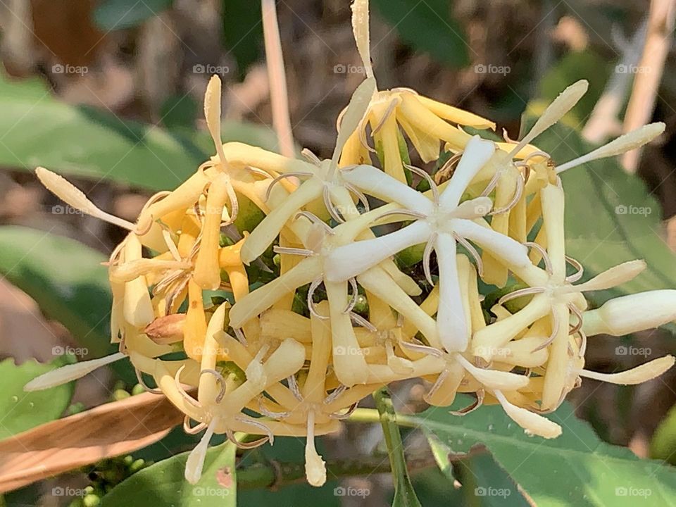 📷 Colors Explosion 