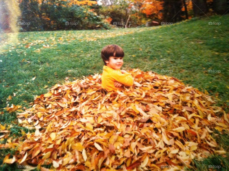 Fall Leaves Boy Pile