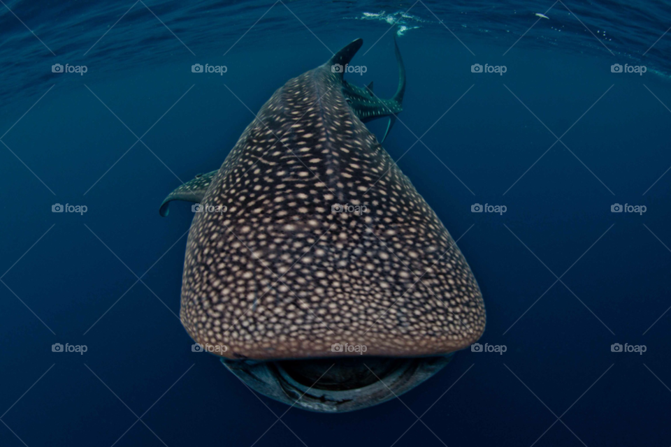 close underwater smiling indonesia by paulcowell