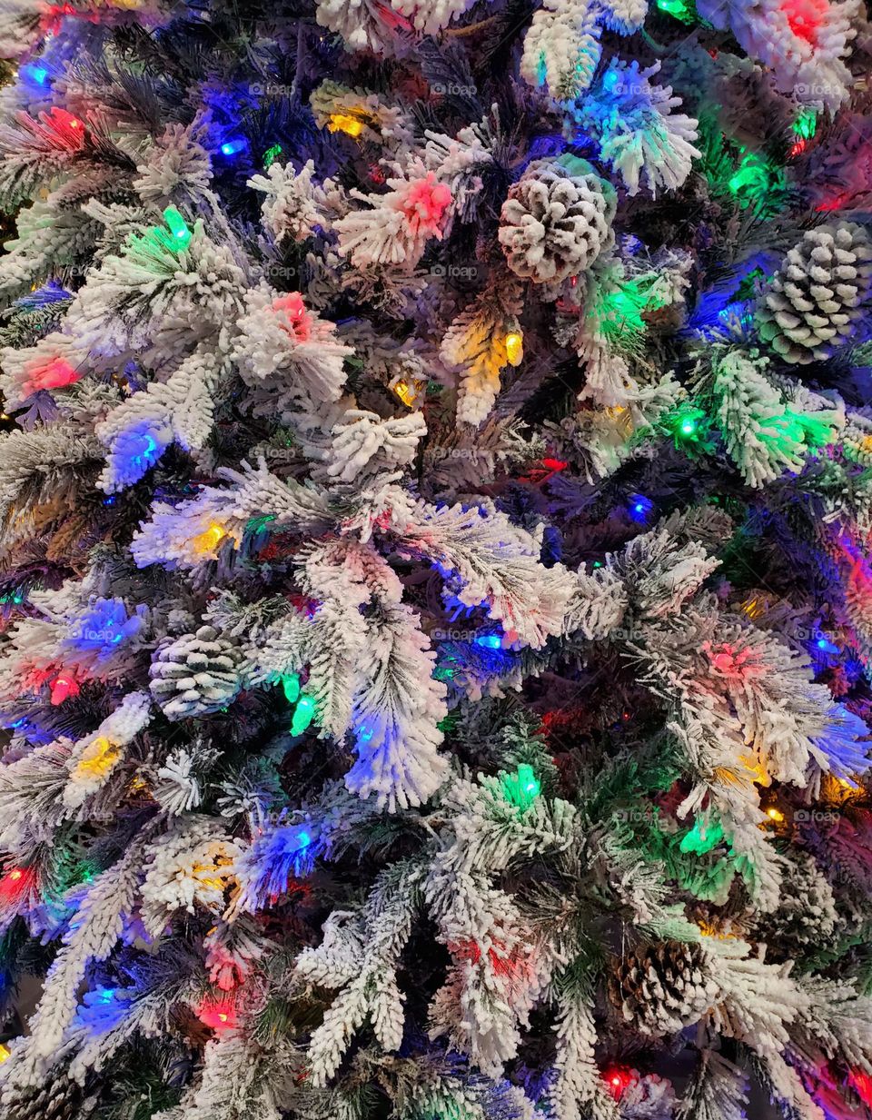 Snow and Lights on Christmas Tree
