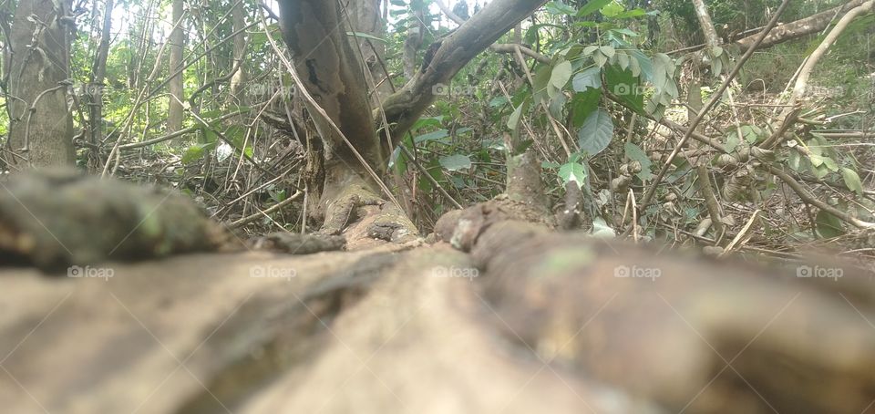 the wood has its own unique.