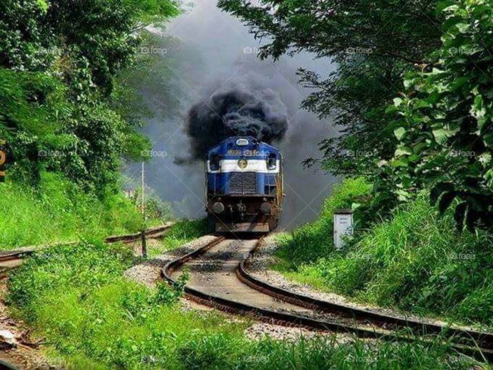 Amazing image with lovely greenary with lovely weather lonely train
