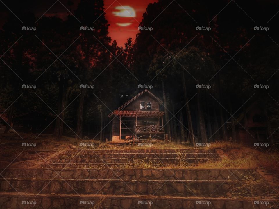 beautiful horror story, single house in the forest