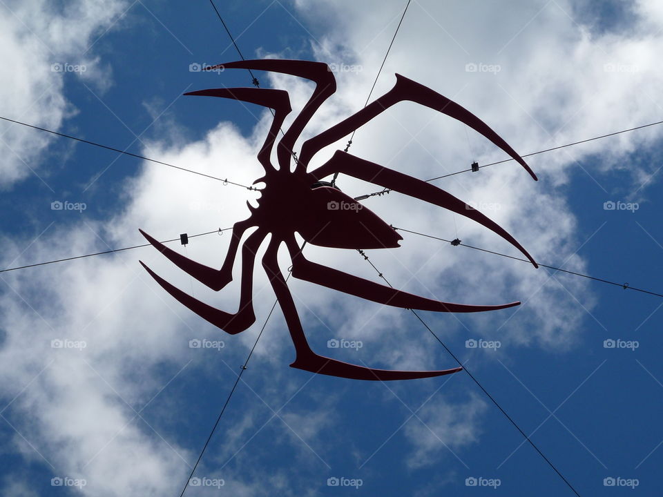 Spider artwork