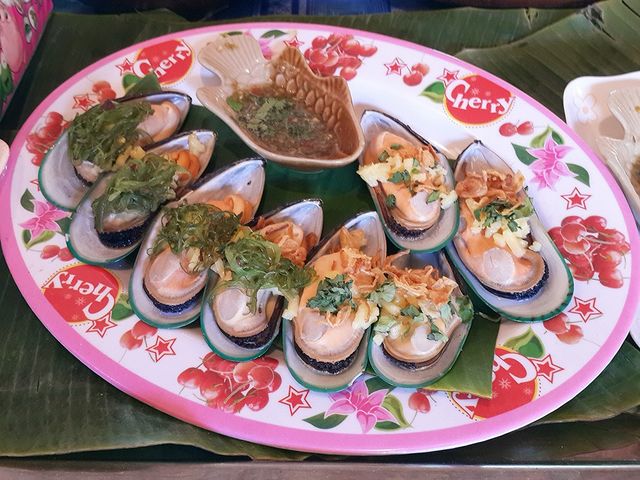 shells