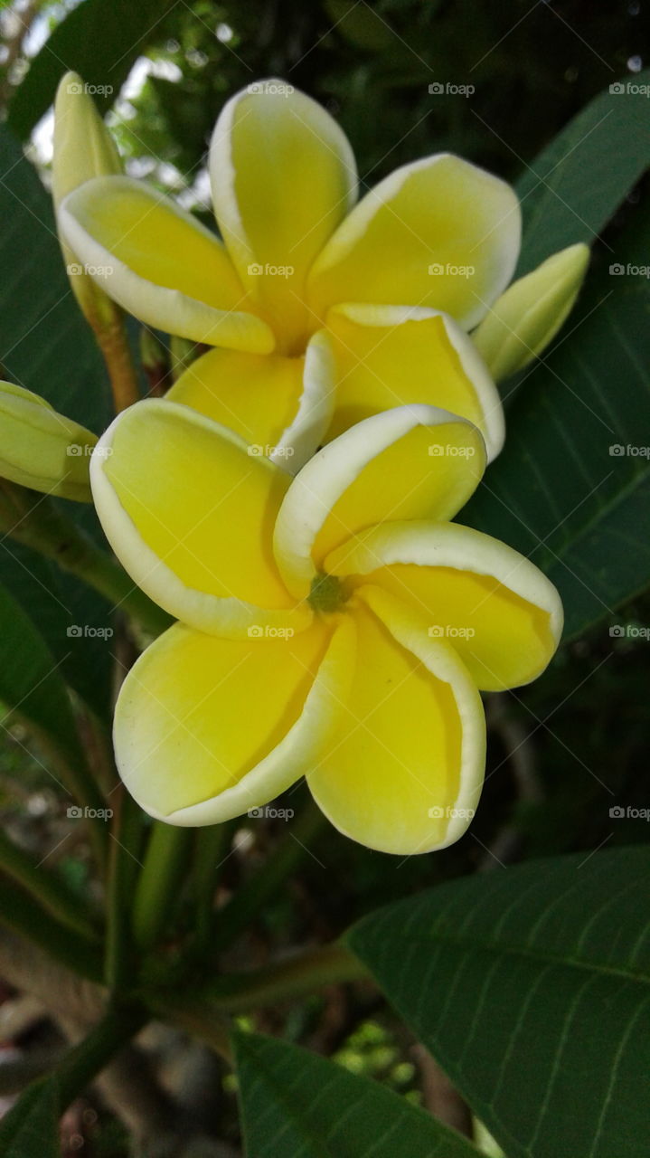 nature create beauty