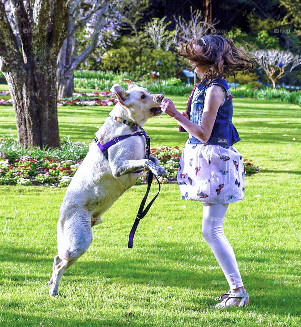 Girl plays abs jumps with her Labrador retriever in a sunny spring park