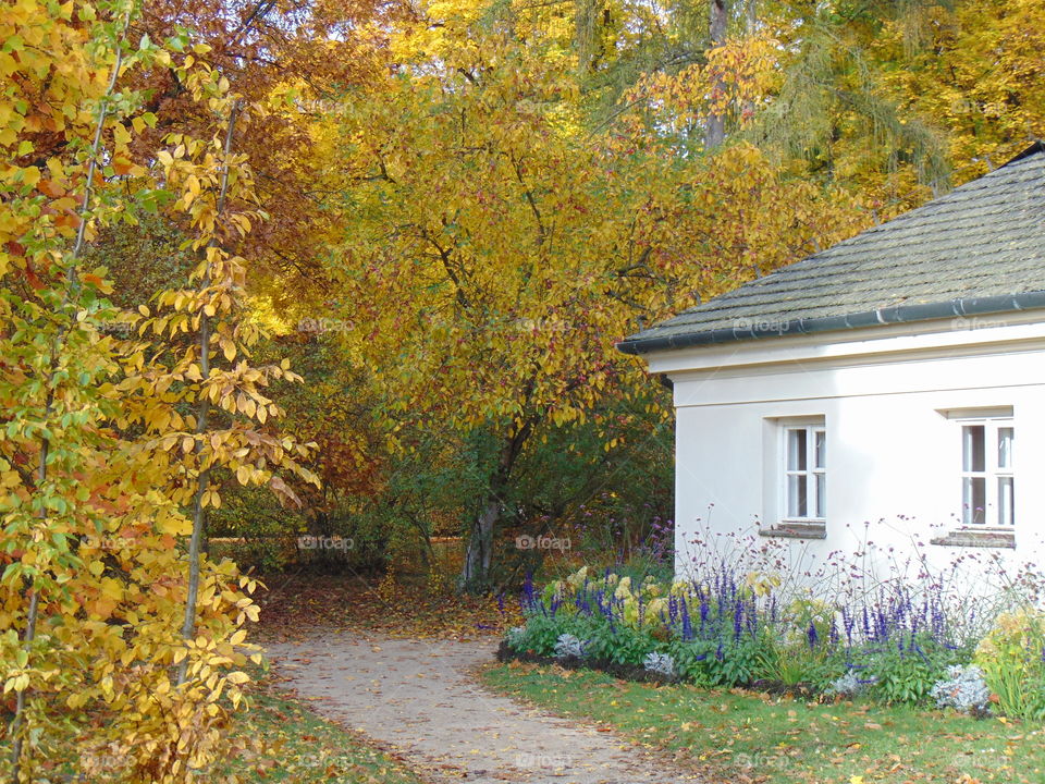 Autumn near old house