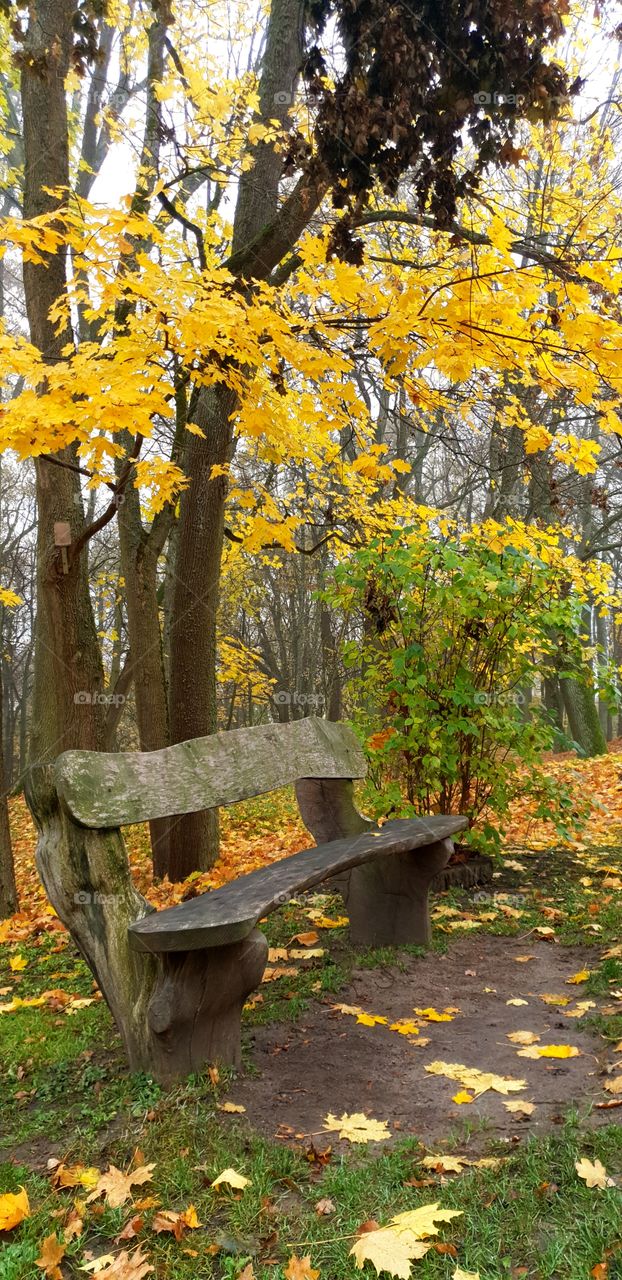 Lithuanian fairy automn