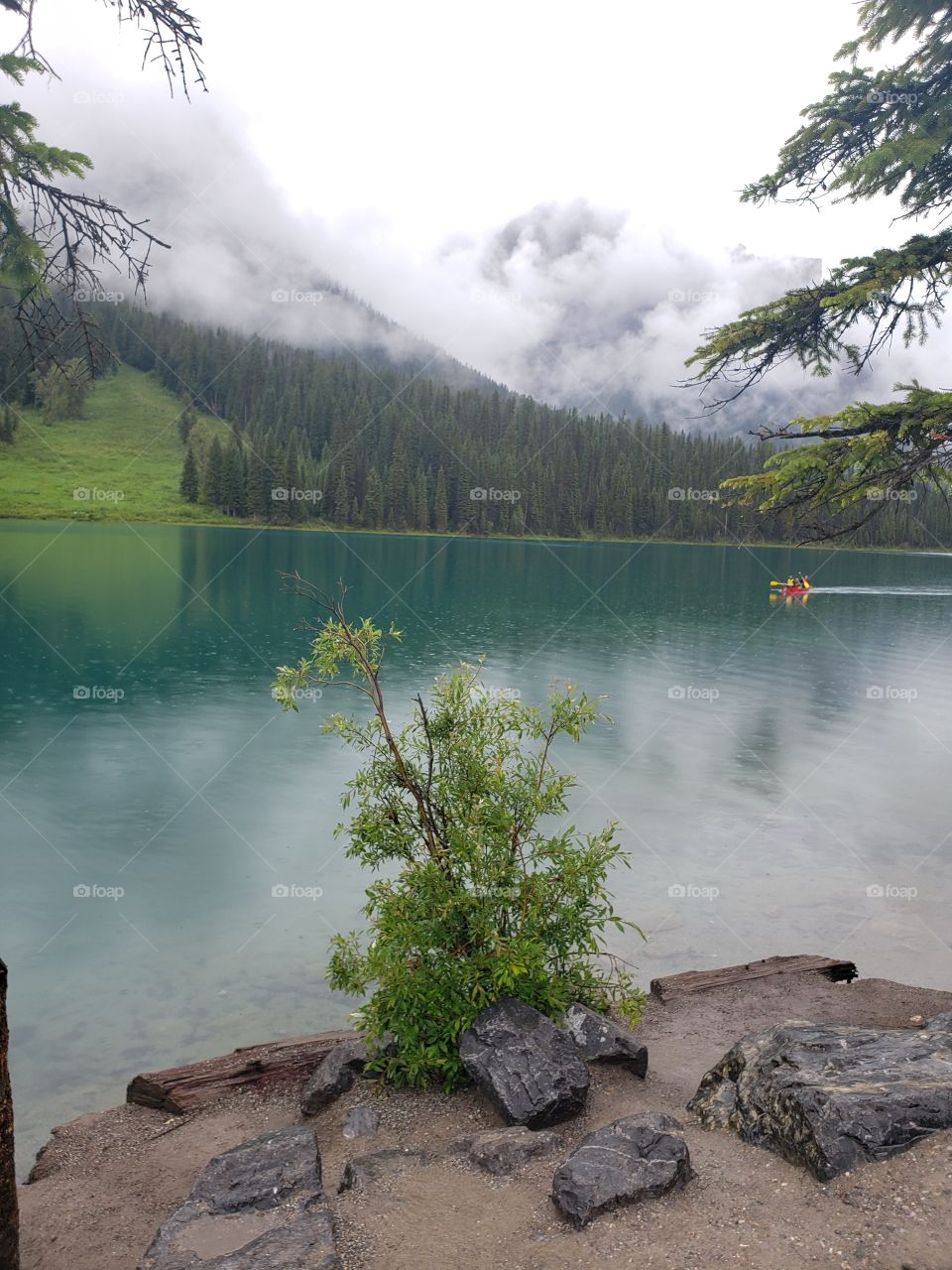 nice shot of emerald lake