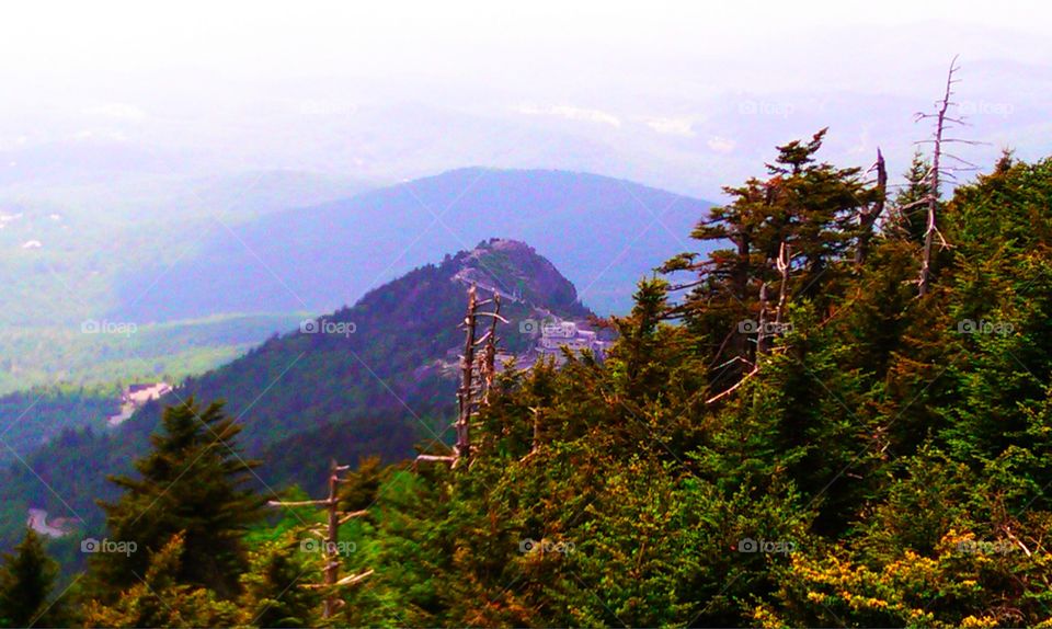 North Carolina Vacation