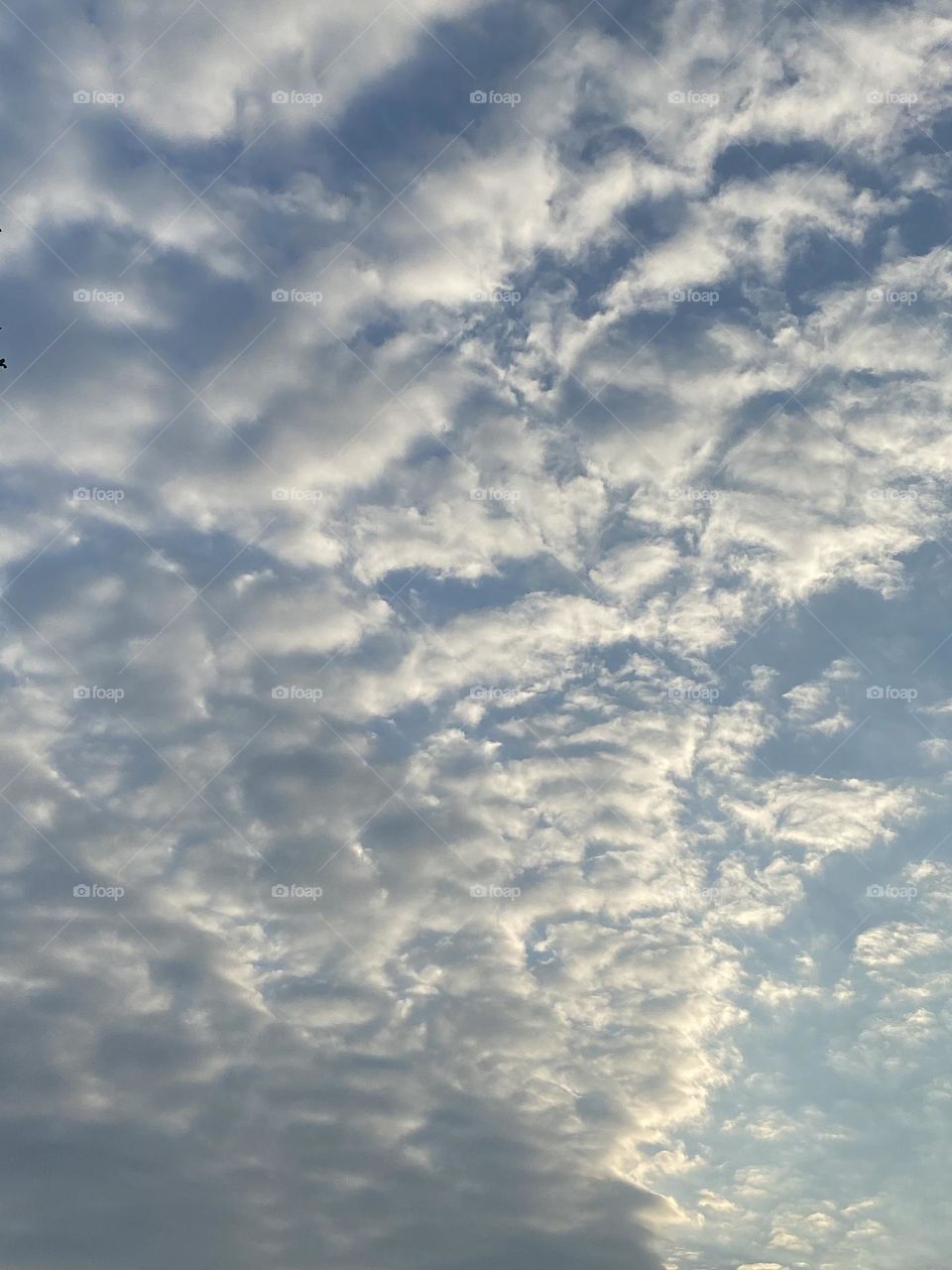 A sky full of white clouds on a blue sky 