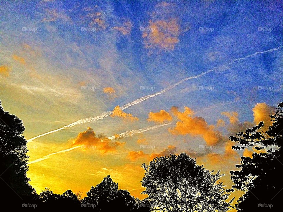 Good morning everyone 