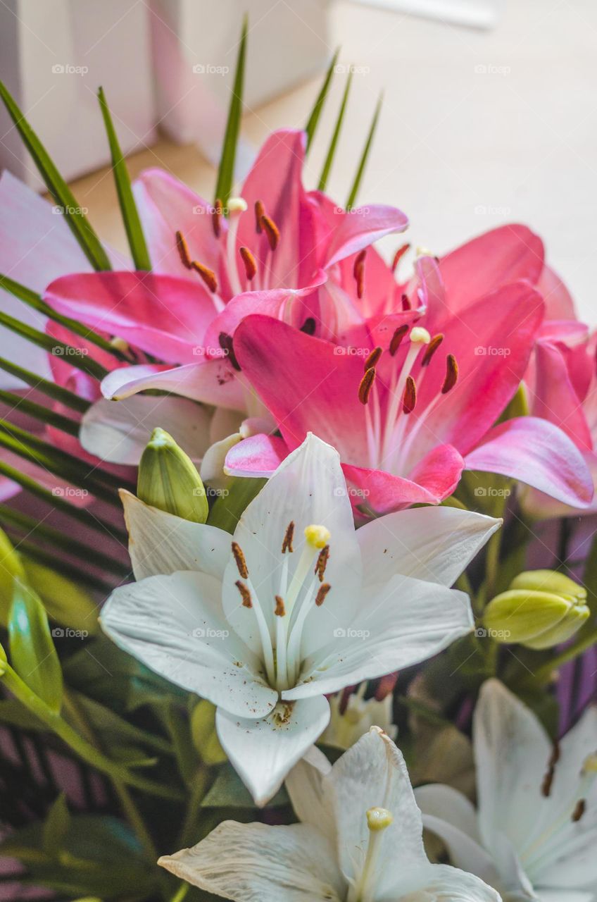 White and pink flowers bouquet