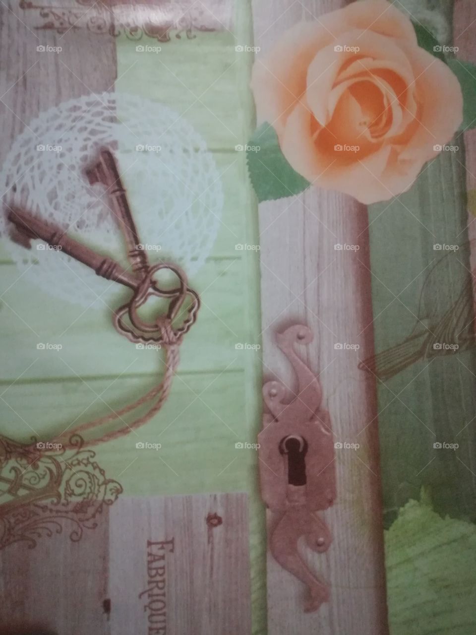 Schloß Schlüssel Tür Rose Blume